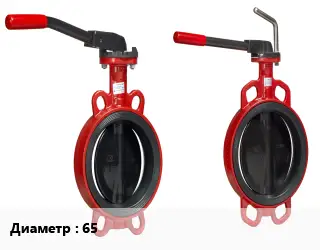 Затвор 65 Ру25